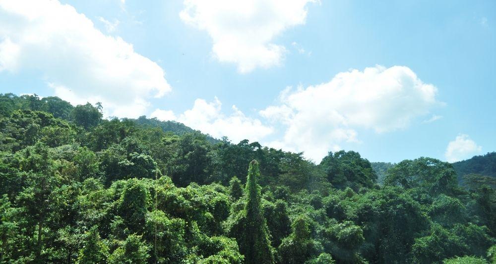 Cherry Feast Resort Yuchi Luaran gambar